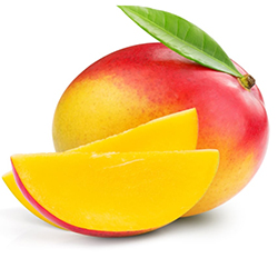 Mango CTN