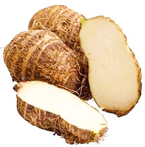 Eddos 1X10kg