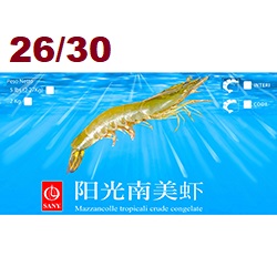 Mazzancolla Tropicale Sany 26/30  10x2.15(2.27)kg