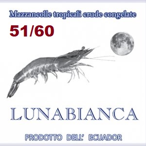 Mazzancolla Luna Bianca 5/ 51/60 10x2.15(2.27)kg
