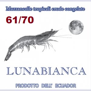 Mazzancolla Luna Bianca 5/ 61/70 10x2.15(2.27)kg