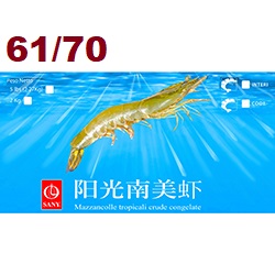 Mazzancolla Tropicale Sany 61/70 10x2.15(2.27)kg