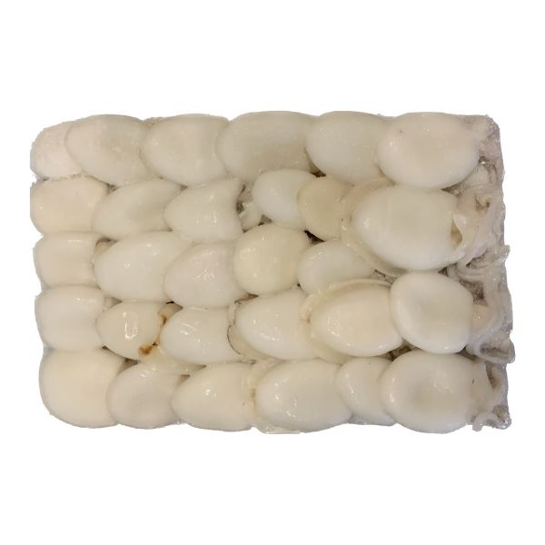 Seppie Blk 20/40 6X2kg