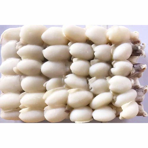 Seppioline Platinium 60up 20% 10x0,80kg