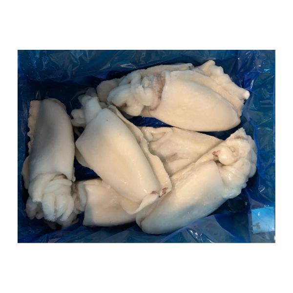 Seppia Pulita Marocco 800/1000 1x6.25 kg circa
