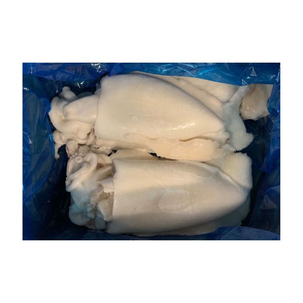 Seppia Pulita Marocco 1000/1500 1x6.25 kg circa