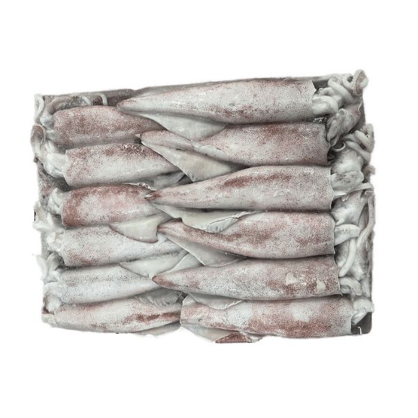 Calamari Platinium A 3/6 10/ 2X4,5kg