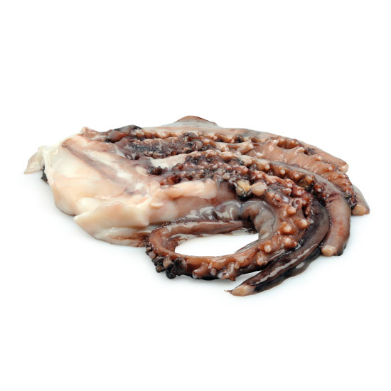 Tentacoli di Totano 1X7kg
