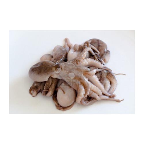 Polipetti 20/40 20% 10x800g