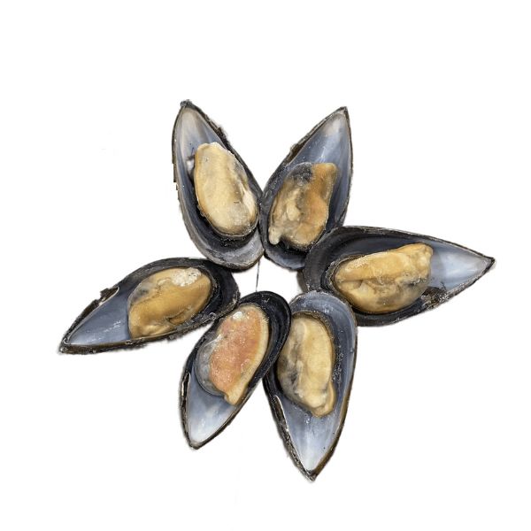 Cozze Cilene 1/2Guscio 40/60 1X9kg