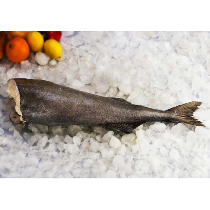 Gindara Intero 3.60/3.79kg