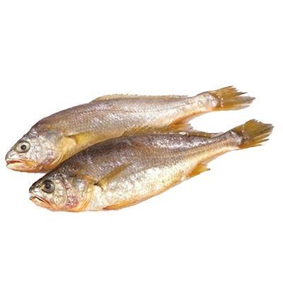 Corvina Pacifico 50/60 30X400g