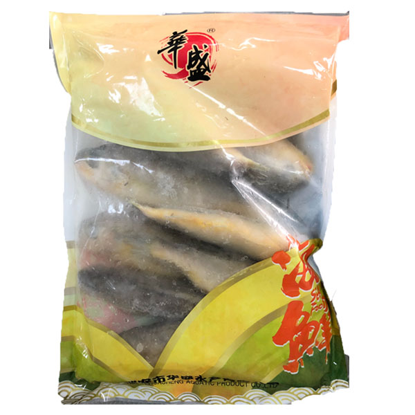 Corvina Giapponese 100-150 15X800g