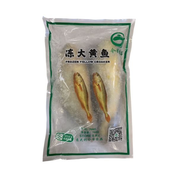 Corvina Congelata 2P 400/500 10X1kg