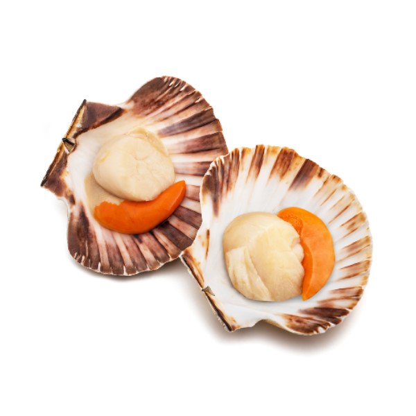 Capesante Pacifico 1/2 Guscio 20/30 8x1kg
