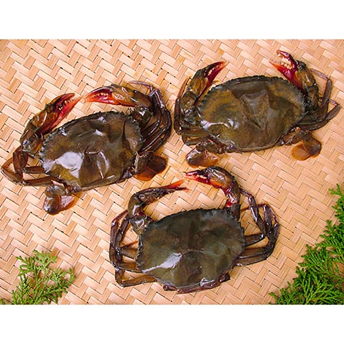 Soft Shell Crab M 10X1kg (50g)