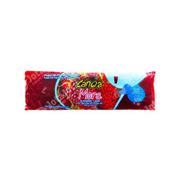 Canoa Pulpa de Mora 12X250g