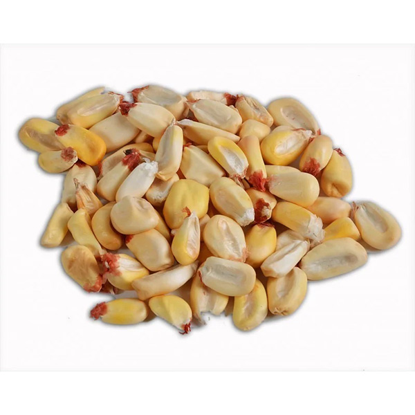 Maiz Cancha America 1X20kg