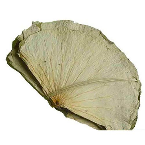 Foglia Di Lotus 5X1kg