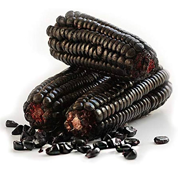 Maiz morado cassa 1X7.5kg