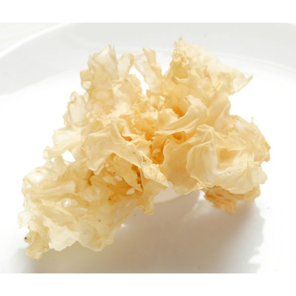 Funghi bianchi secchi 50X85g