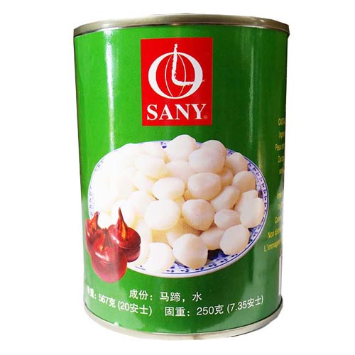 罐头马蹄 24X567g